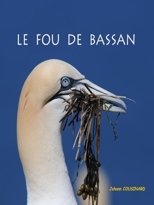 cover image of Le fou de Bassan